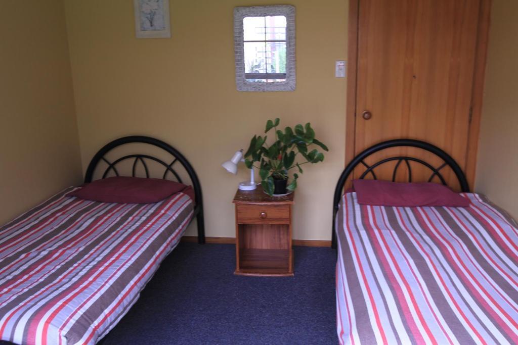Bazil'S Backpackers Bbh Hostel & Surf School Westport Cameră foto